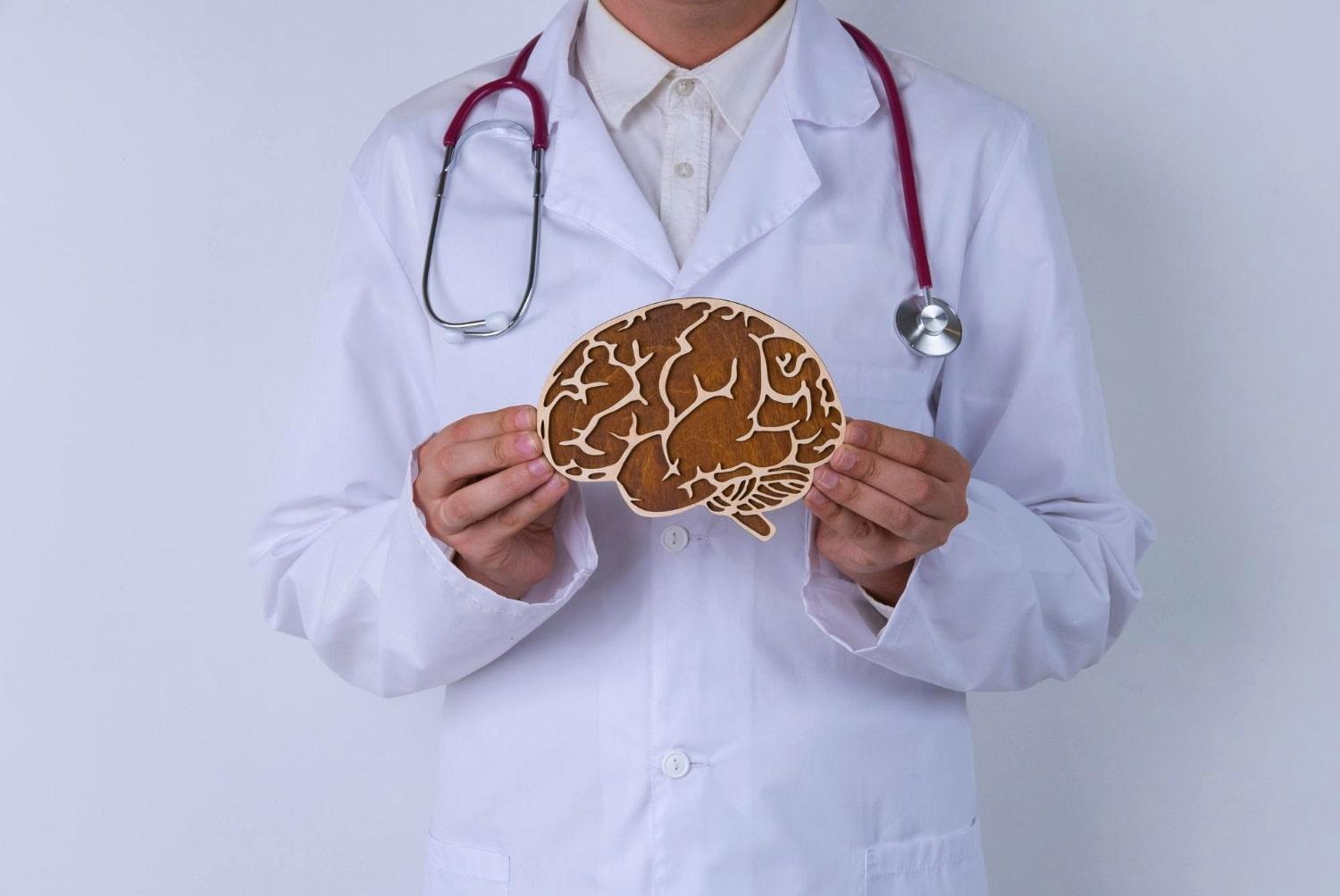 Lekarz trzymający w rękach makietę mózgu ludzkiego